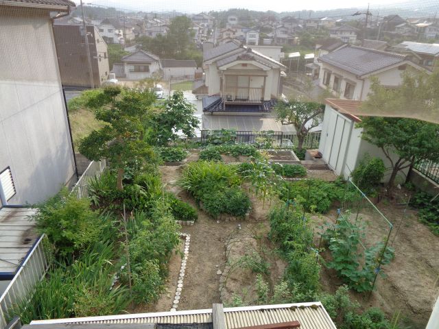 家庭菜園のできる裏庭